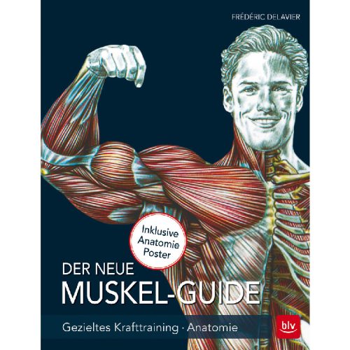 der neue muskel guide