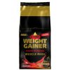 inko x-treme weight gainer